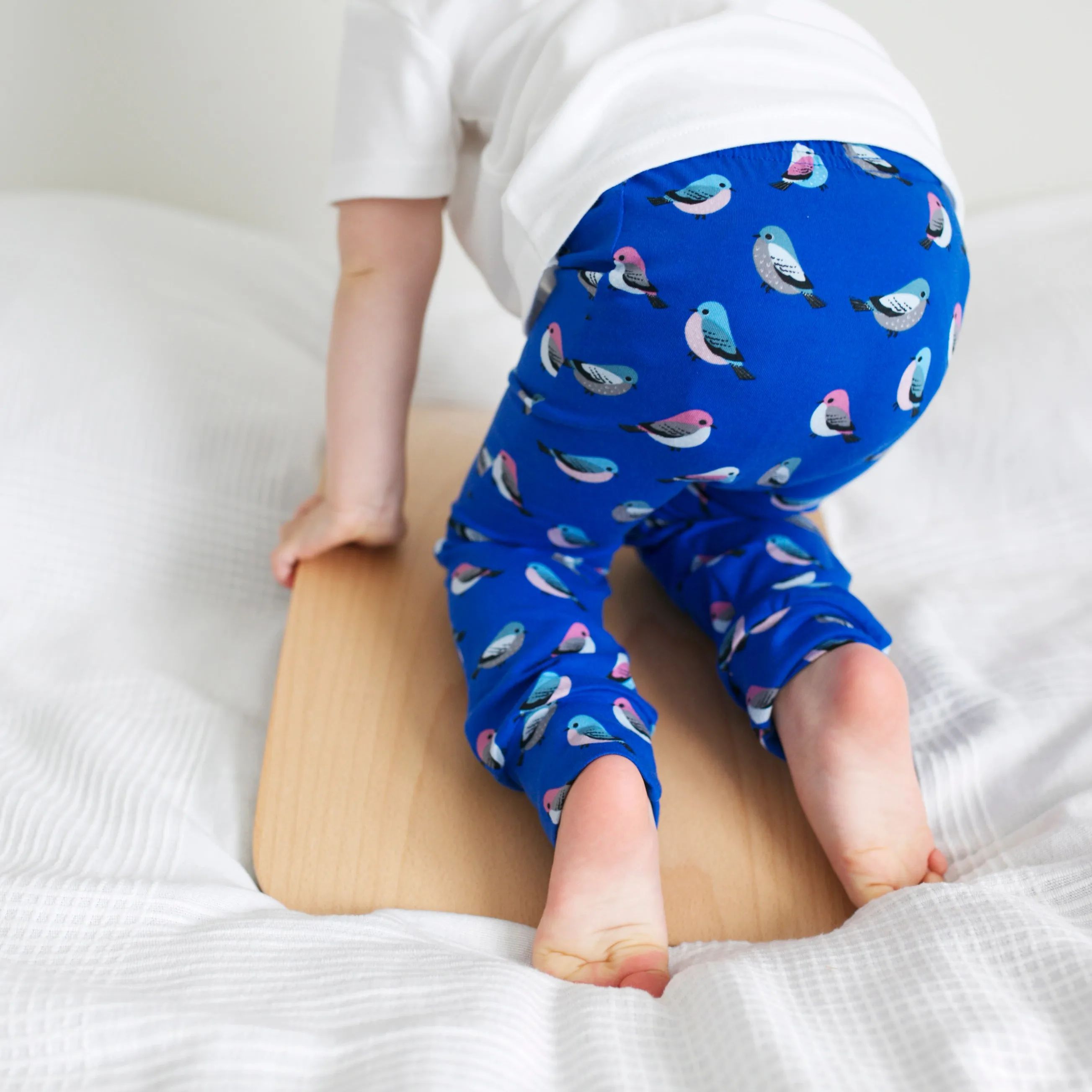 Blue Bird Print Leggings