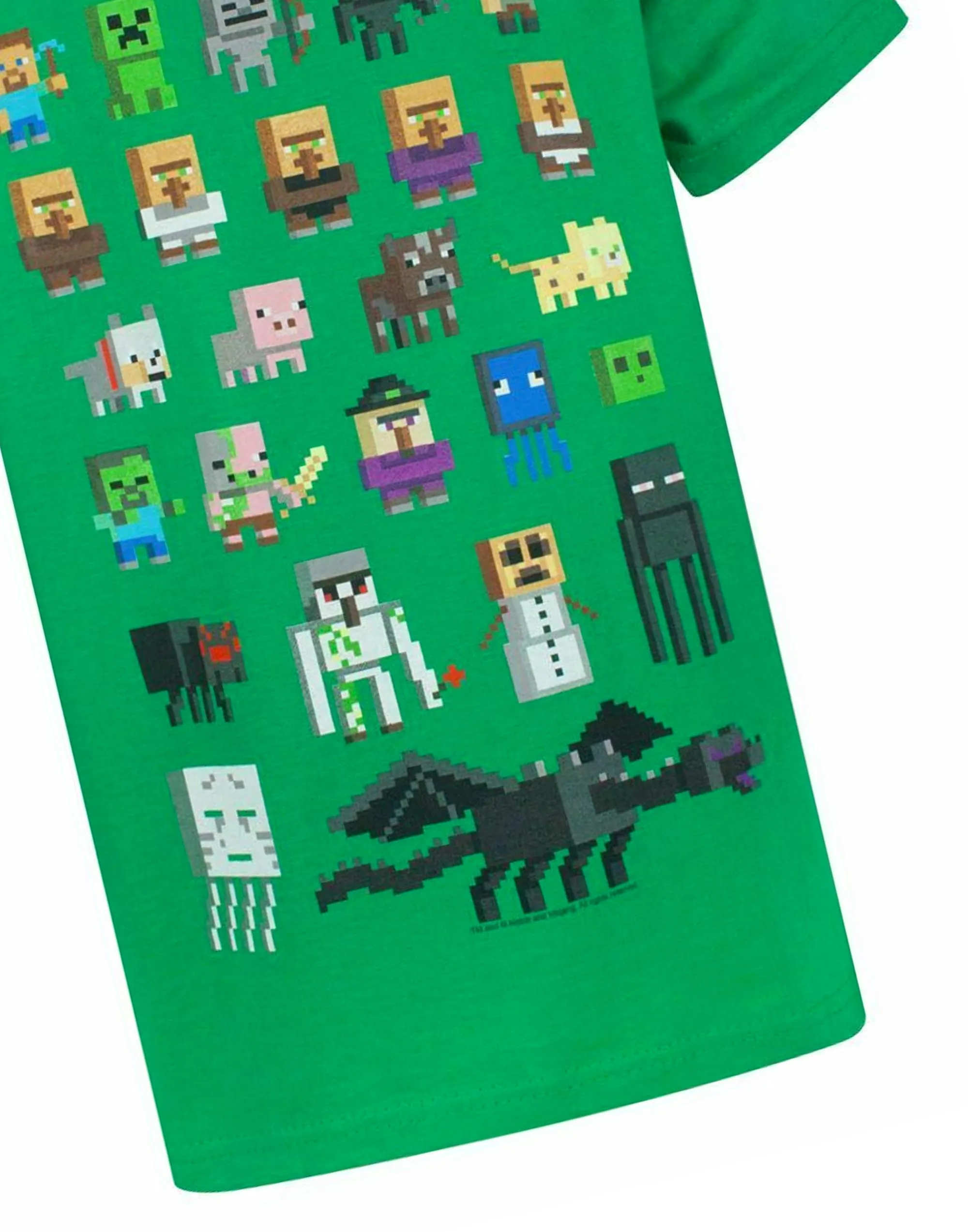 Minecraft Sprites Boys Green Short Sleeved T-Shirt